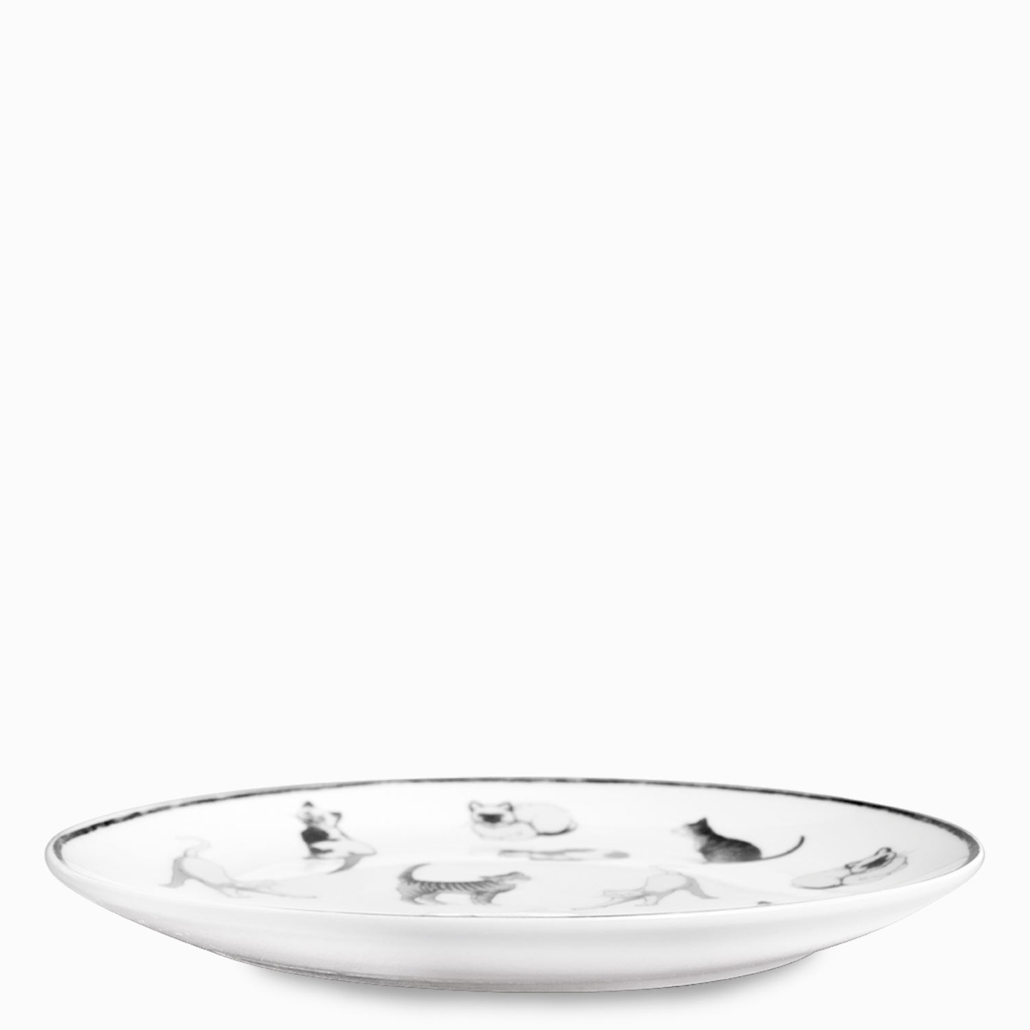 Plato cats - Imagen 2