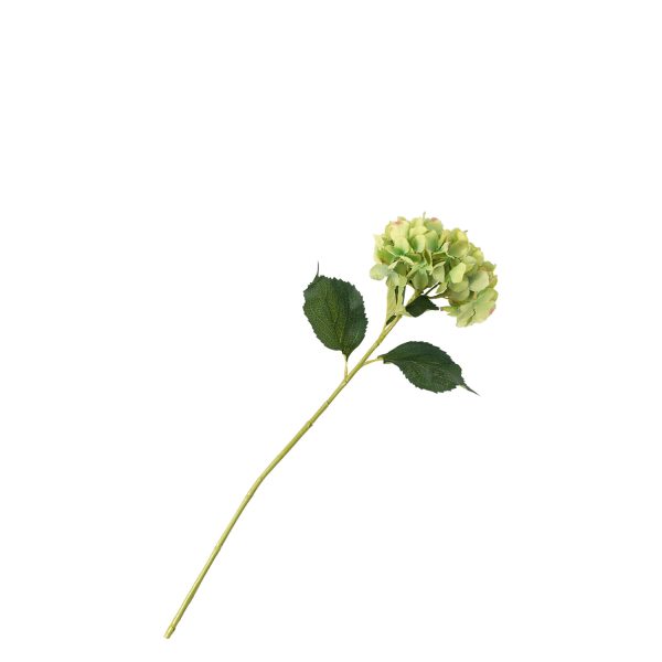 Hortensia verde - Imagen 2