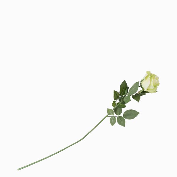 Rosa verde 76 cm