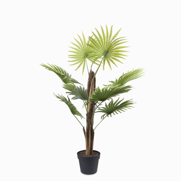 Mini palmera ventilador 90 cm - Imagen 2