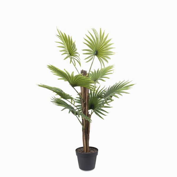 Mini palmera ventilador 90 cm