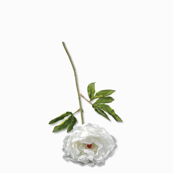 Peonia blanca 70cm - Imagen 2
