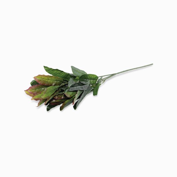Hoja mirto