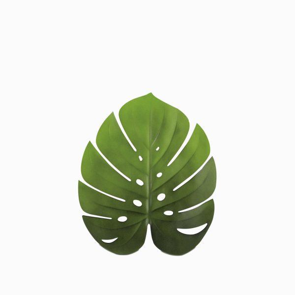 Individual hoja monstera