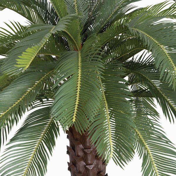 Arbol de cycad abierto 210cm - Imagen 2
