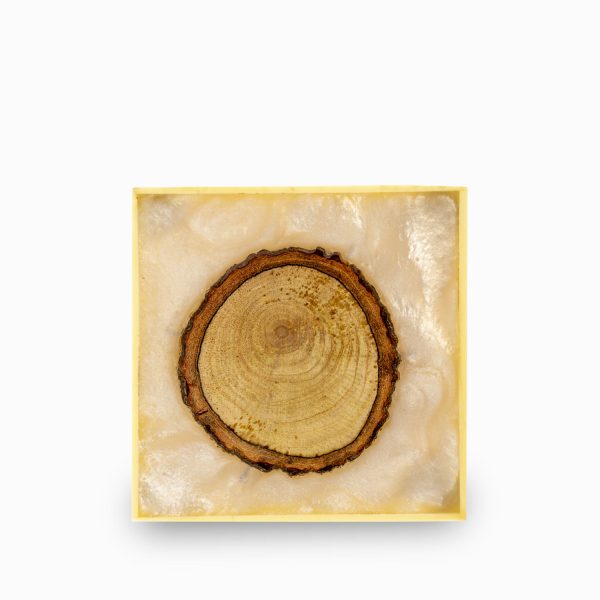 Portavaso tronco