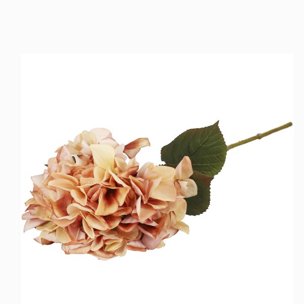 Hortensia durazno 67cm