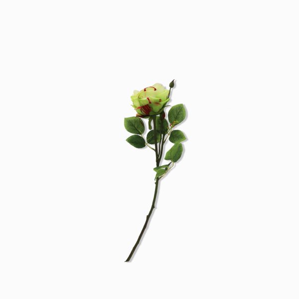 Rosa spray verde 67cm - Imagen 2
