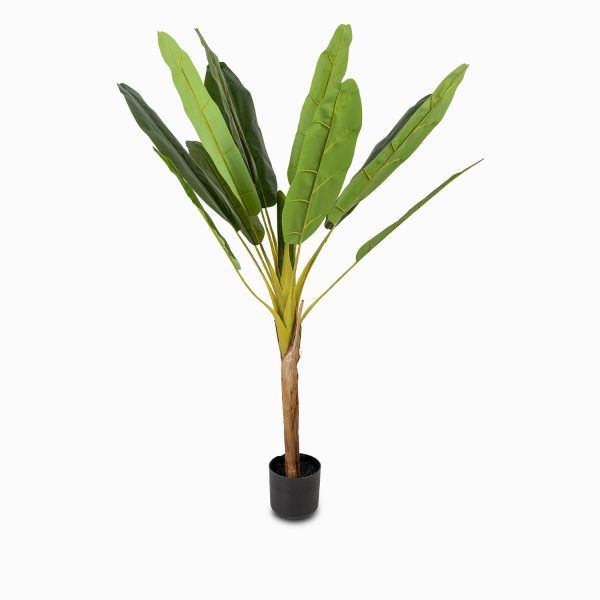 Arbol de platano 150cm
