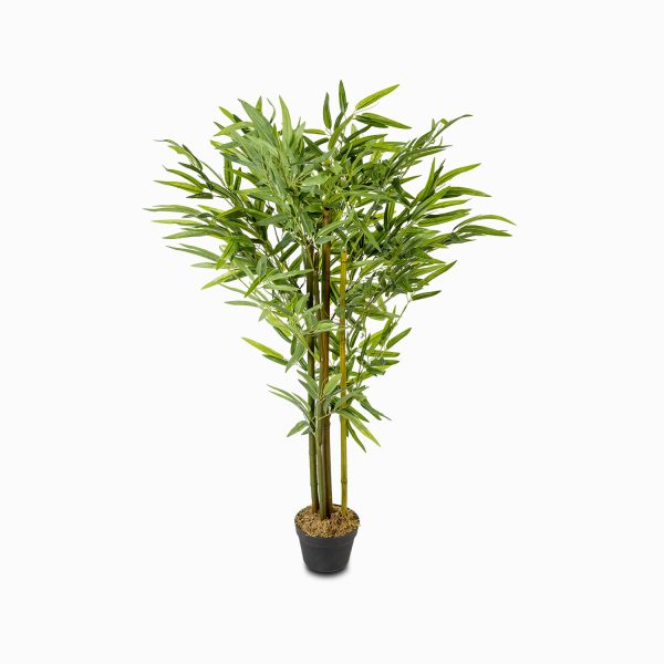 Planta bambu 130cm