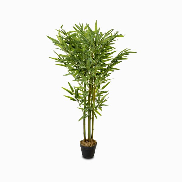 Planta bambu 130cm - Imagen 2