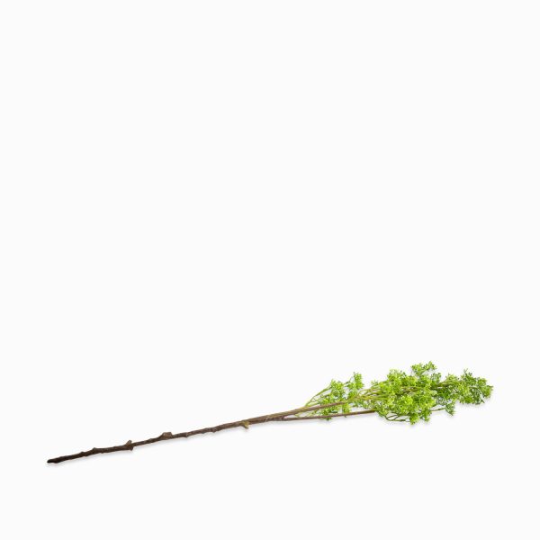 Follaje verde 79cm