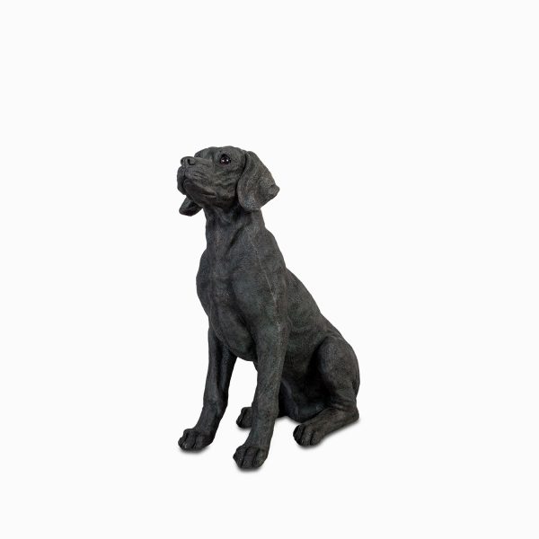 Perro labrador - Imagen 2
