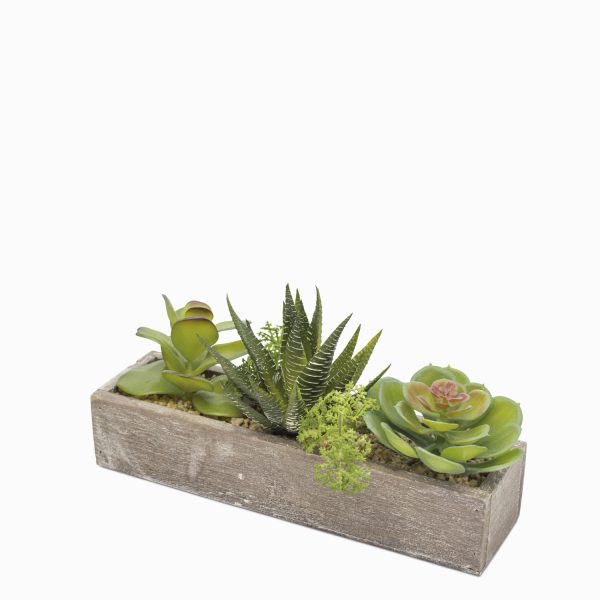 Caja minisuculenta 26x7x5.5cm