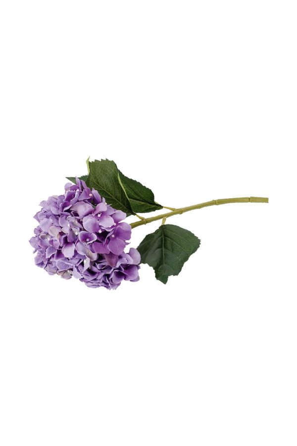 Hortensia morada