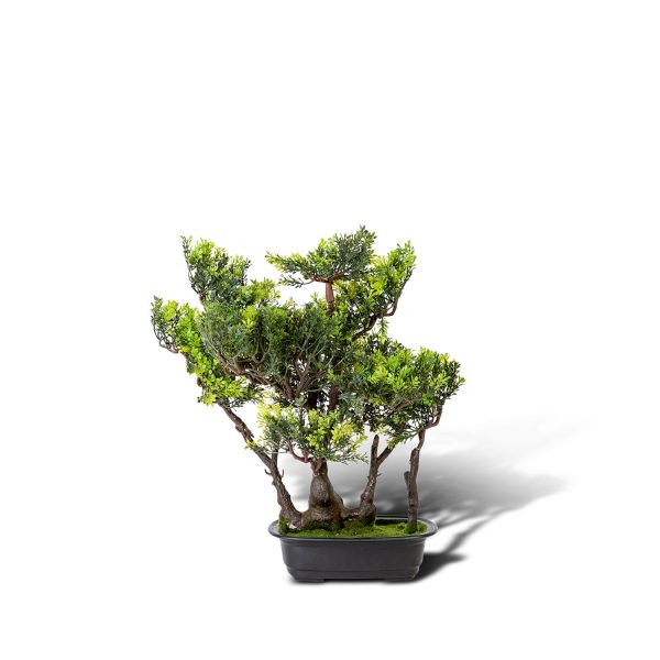 Bonsai Verde artificial 45 cm