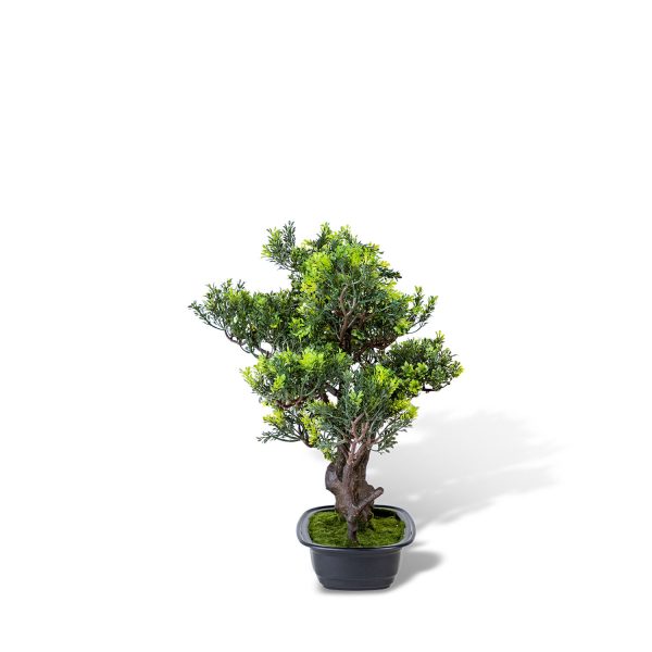 Bonsai Verde artificial 45 cm - Imagen 5
