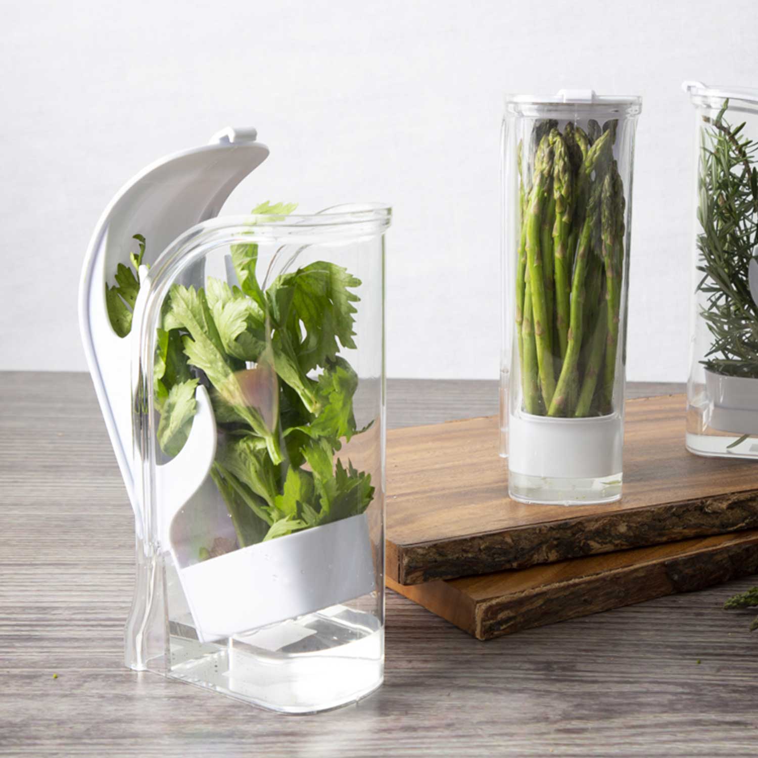 Conservador de hierbas - Imagen 4