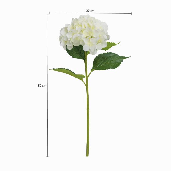 Hortensia blanca - Imagen 3