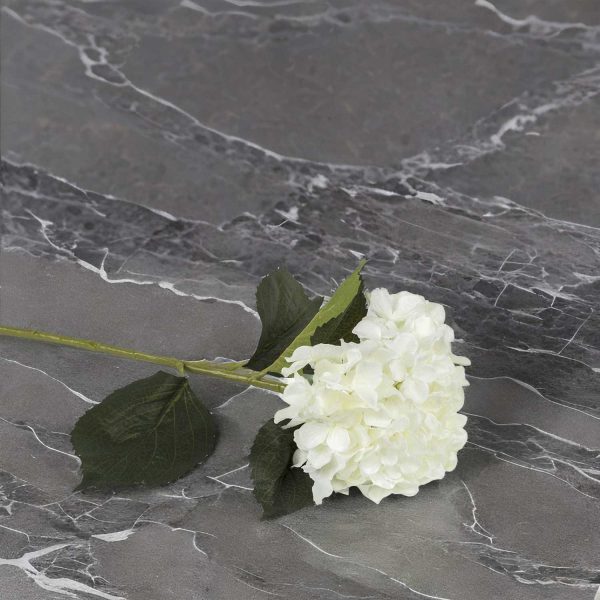 Hortensia blanca - Imagen 4