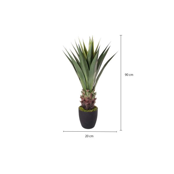 Sisal - Imagen 3