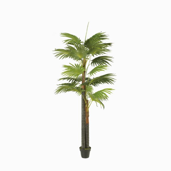 Palmera Ventilador Artificial - Imagen 5