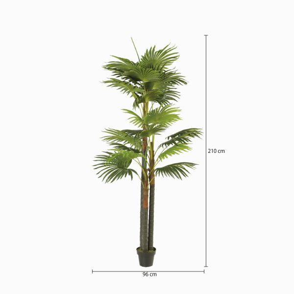 Palmera Ventilador Artificial - Imagen 3