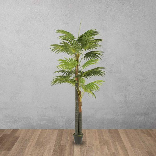 Palmera Ventilador Artificial - Imagen 2