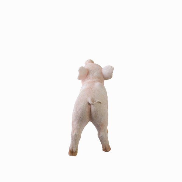 Minipig decorativo - Imagen 6