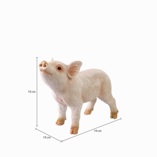 Minipig decorativo - Imagen 3