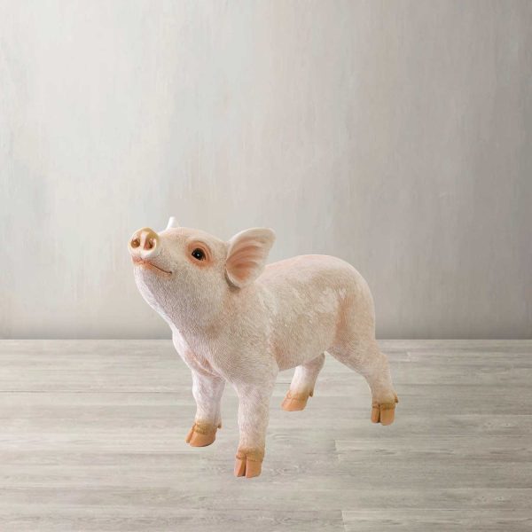 Minipig decorativo - Imagen 2