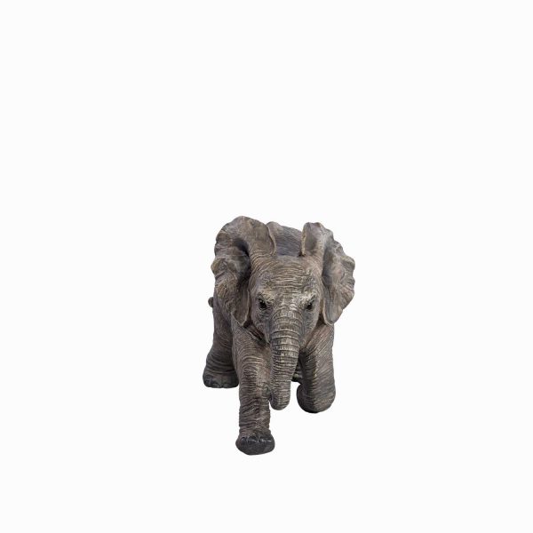 Mini elefante - Imagen 5