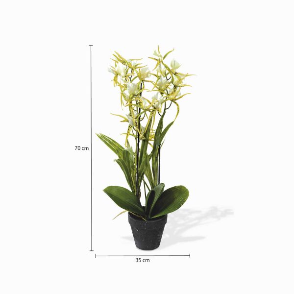 Orquidea arana verde artificial - Imagen 3