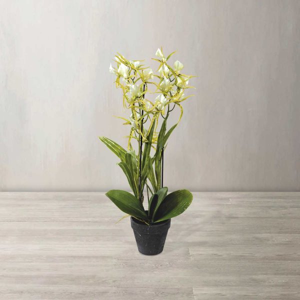 Orquidea arana verde artificial - Imagen 2