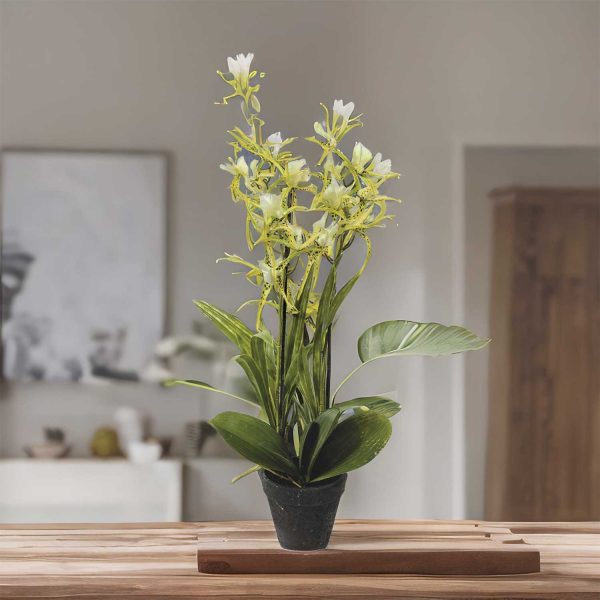 Orquidea arana verde artificial - Imagen 4