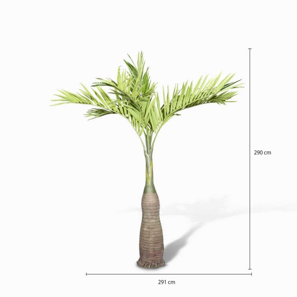 Palmera Amarilla 290 cm - Imagen 3