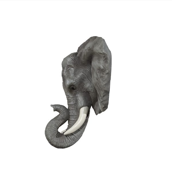 Elefante Real - Imagen 6