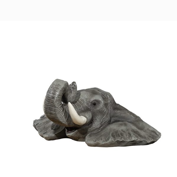 Elefante Real - Imagen 4