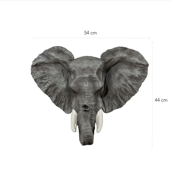 Elefante Real - Imagen 3