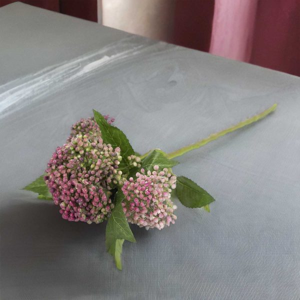 Flor de tallo rosada - Imagen 4