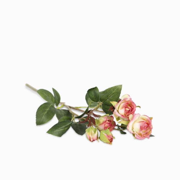 Mini Rosas x 5