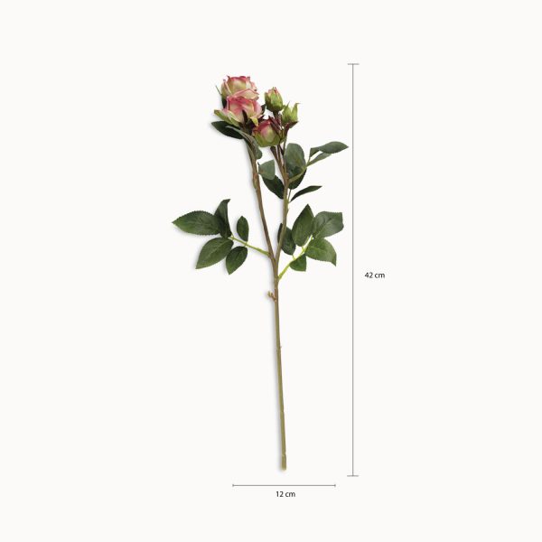Mini Rosas x 5 - Imagen 3
