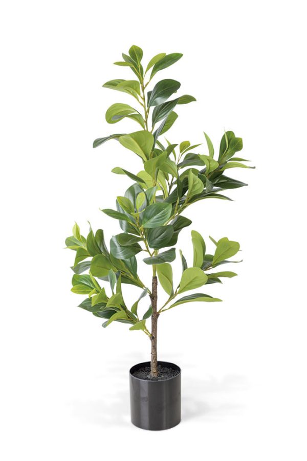 Peperomia Artificial 80cm
