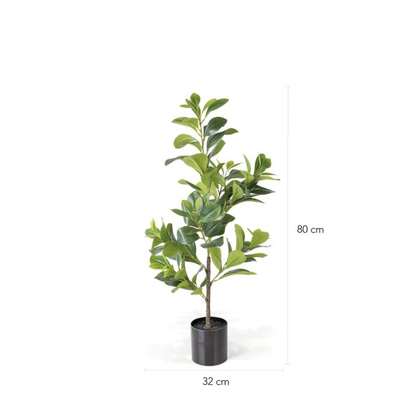Peperomia Artificial 80cm - Imagen 3