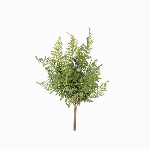 Rama Helecho 55 cm