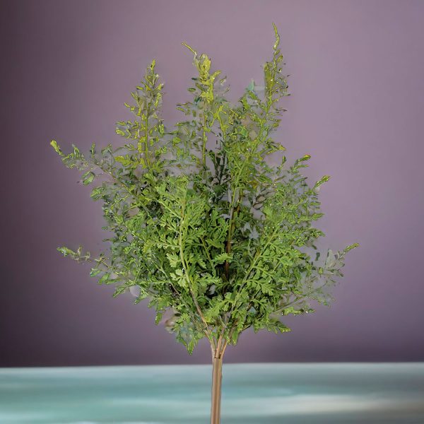 Rama Helecho 55 cm - Imagen 4