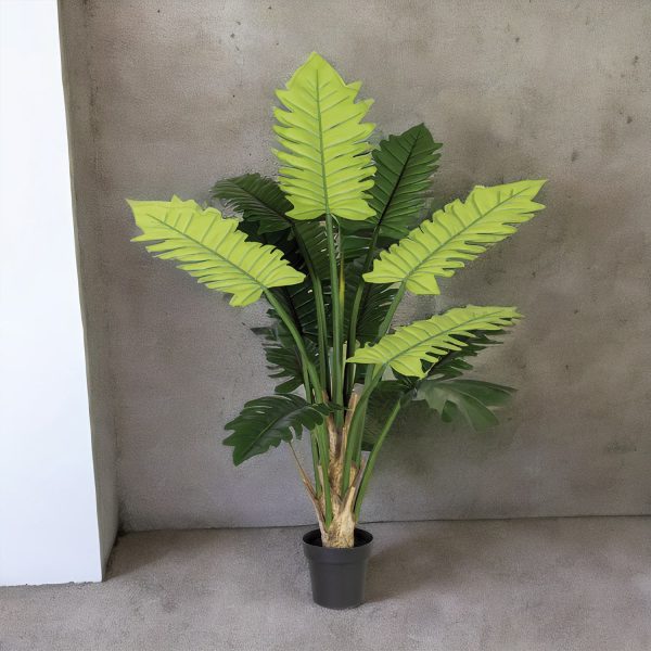 Planta Philo 150 cm - Imagen 4