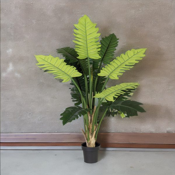 Planta Philo 150 cm - Imagen 5