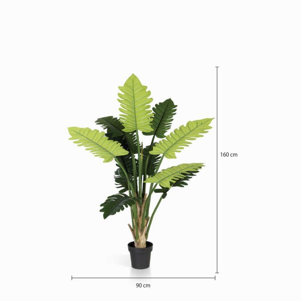Planta Philo 150 cm - Imagen 3