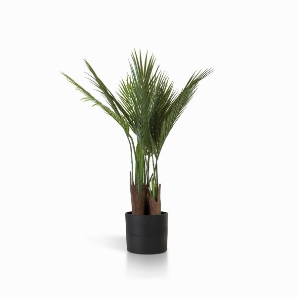 Palma ornamental 70 cm